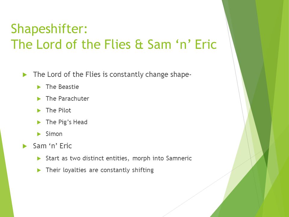 Lord of the flies archetypes!